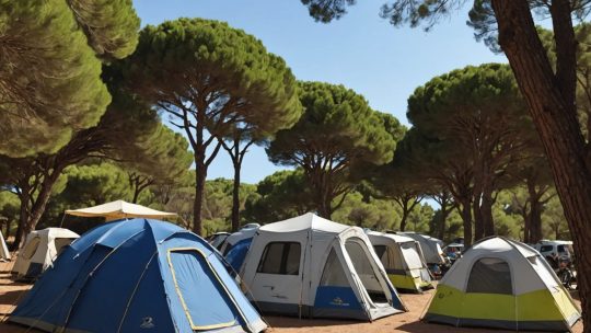 Découvrez le Meilleur du Camping à Fréjus: Conseils et Idées pour des Vacances Inoubliables en France